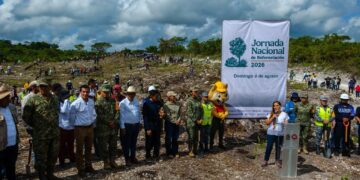 Mara Lezama lidera la siembra de 12 mil árboles en Caobas