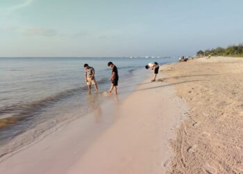 Playa del Carmen ratificará ocho distintivos Blue Flag con calificaciones sobresalientes