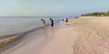 Playa del Carmen ratificará ocho distintivos Blue Flag con calificaciones sobresalientes