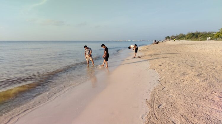Playa del Carmen ratificará ocho distintivos Blue Flag con calificaciones sobresalientes