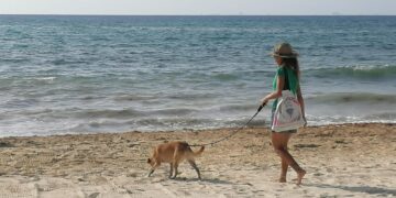 Proyecto de Ley General trae retrocesos a la protección animal en Quintana Roo, advierten