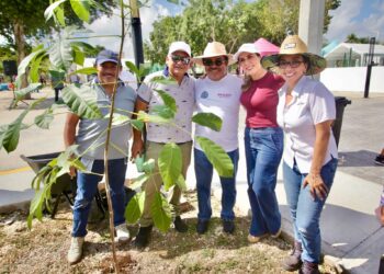 ¡Isla Mujeres Verde!; se une a Jornada de Reforestación 2026
