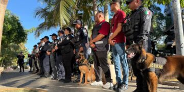 Estrategia de seguridad del Gobierno de Playa del Carmen reduce 51.6% el homicidio doloso