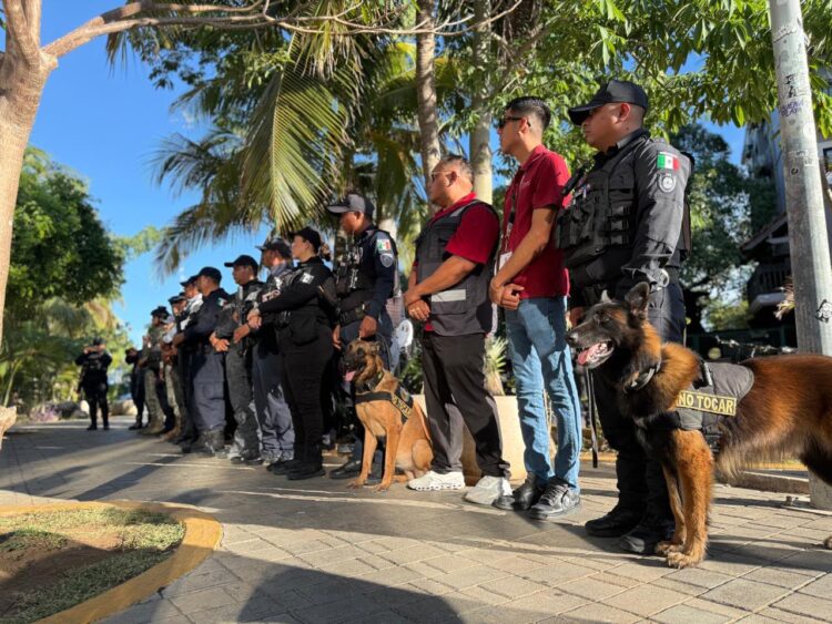 Estrategia de seguridad del Gobierno de Playa del Carmen reduce 51.6% el homicidio doloso