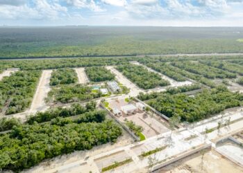 Plantea Semarnat reubicar futuro centro financiero de Cancún para no impactar la selva