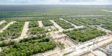 Plantea Semarnat reubicar futuro centro financiero de Cancún para no impactar la selva