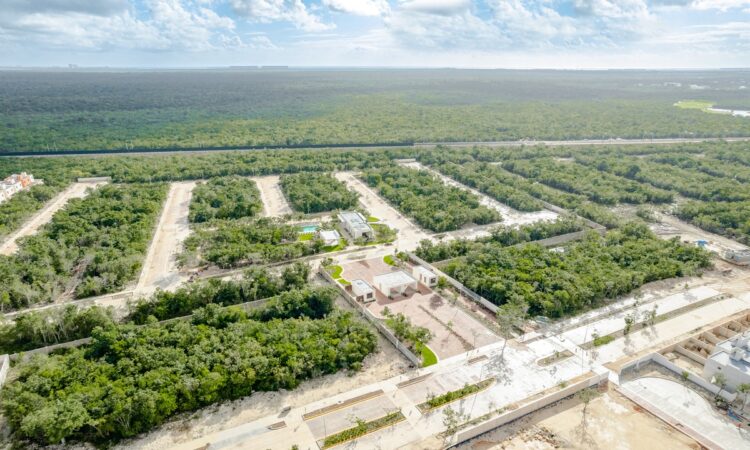 Plantea Semarnat reubicar futuro centro financiero de Cancún para no impactar la selva