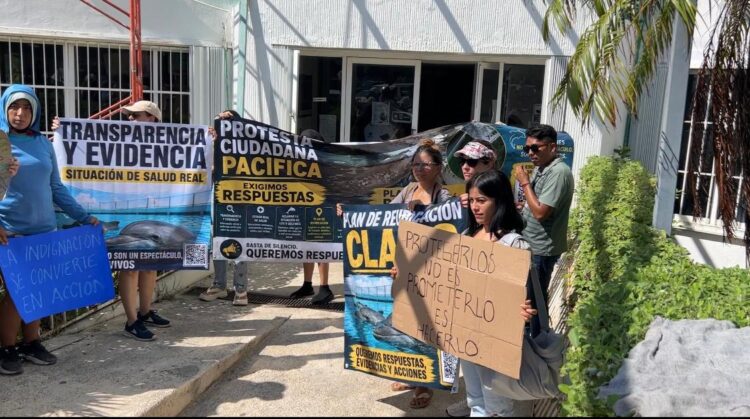 Protesta ciudadana en Ventura Park; exigen reubicación de delfines