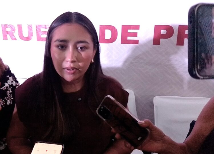 “Rumorología” versiones de rompimiento con el PT: Johana Acosta