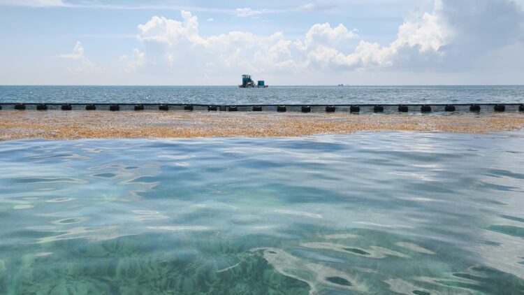Supervisa Marina estrategia antisargazo en Playa del Carmen