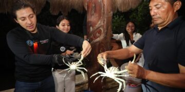 ¡Comunidad al rescate!; blindan la temporada del cangrejo azul en Isla Mujeres