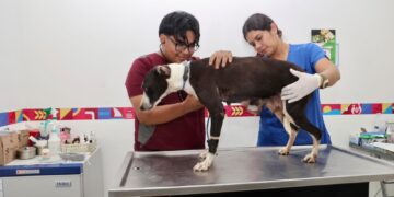 ¡Huellitas protegidas!; Isla Mujeres promueve servicios y adopción responsable