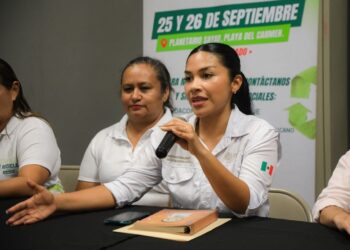 ¡Oportunidad laboral!; ofertan 250 plazas de empleo en Playa del Carmen