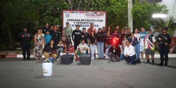 Concluye con éxito jornada de protección del cangrejo azul en Isla Mujeres