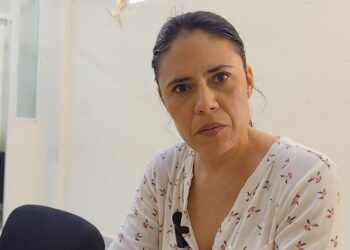 Disminuye presencia de aves en la Zona Maya, advierten académicos