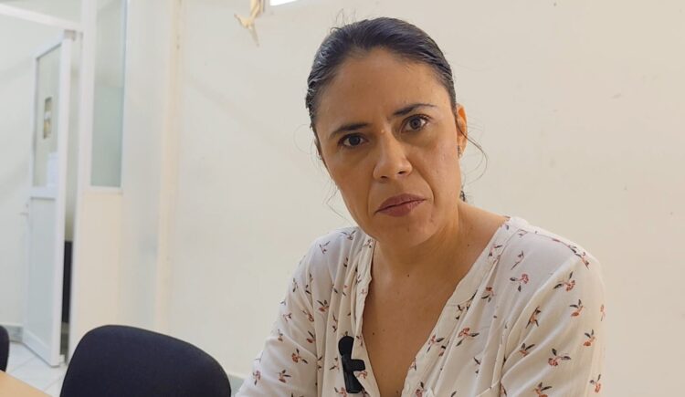 Disminuye presencia de aves en la Zona Maya, advierten académicos