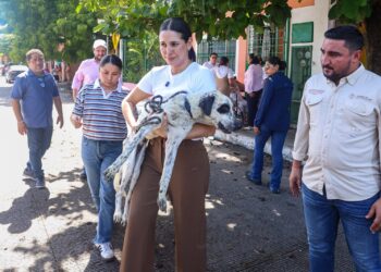 Estefanía Mercado encabeza rescate de ocho caninos en situación vulnerable