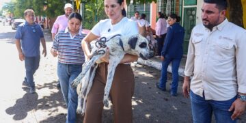 Estefanía Mercado encabeza rescate de ocho caninos en situación vulnerable