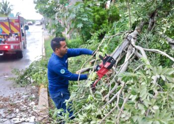 Gobierno de Isla Mujeres mantiene trabajos permanentes ante temporada de lluvias