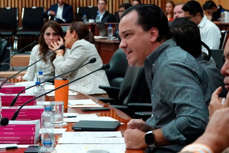 Lanza Guadalupe Taddei, titular del INE advertencia contra intentos de afectación