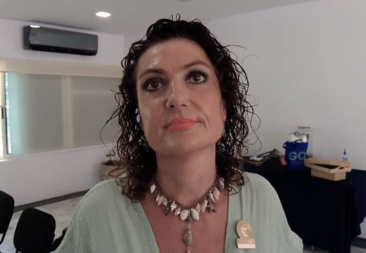 Logro la reducción a la mitad de alza al DNR en dictamen de ley: Amexme Riviera Maya