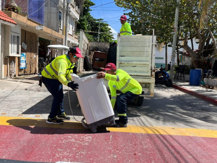 Programa Permanente de Descacharrización continúa en colonias de Isla Mujeres