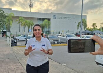 “Sector Salud en México en situación deplorable”: Danna Ramírez