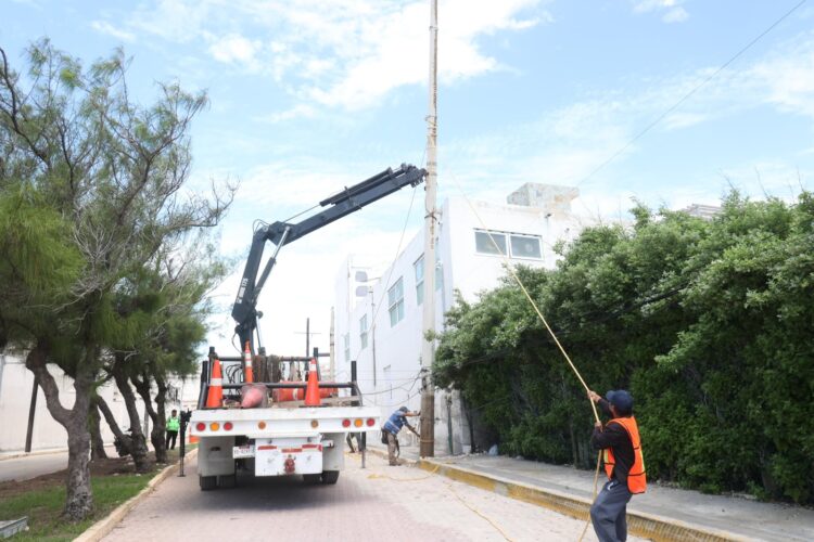 ¡Adiós a los cables!; retiran postes antiguos de la Av. Juárez en la Isla Mujeres