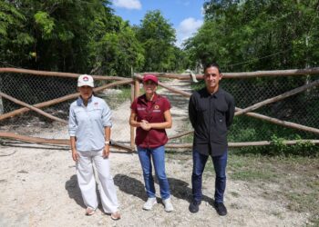 ¡Cero tolerancia!; clausura Ana Paty Peralta los complejos residenciales Tolteca y Azteca en Cancún