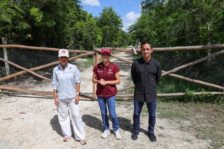 ¡Cero tolerancia!; clausura Ana Paty Peralta los complejos residenciales Tolteca y Azteca en Cancún