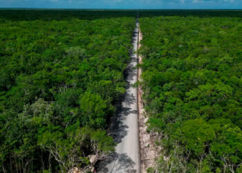 ¡Protección a la reserva!; descarta Semarnat turismo urbano pero comunidades exigen reparación ambiental inmediata