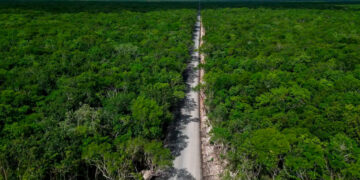 ¡Protección a la reserva!; descarta Semarnat turismo urbano pero comunidades exigen reparación ambiental inmediata