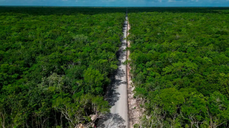 ¡Protección a la reserva!; descarta Semarnat turismo urbano pero comunidades exigen reparación ambiental inmediata